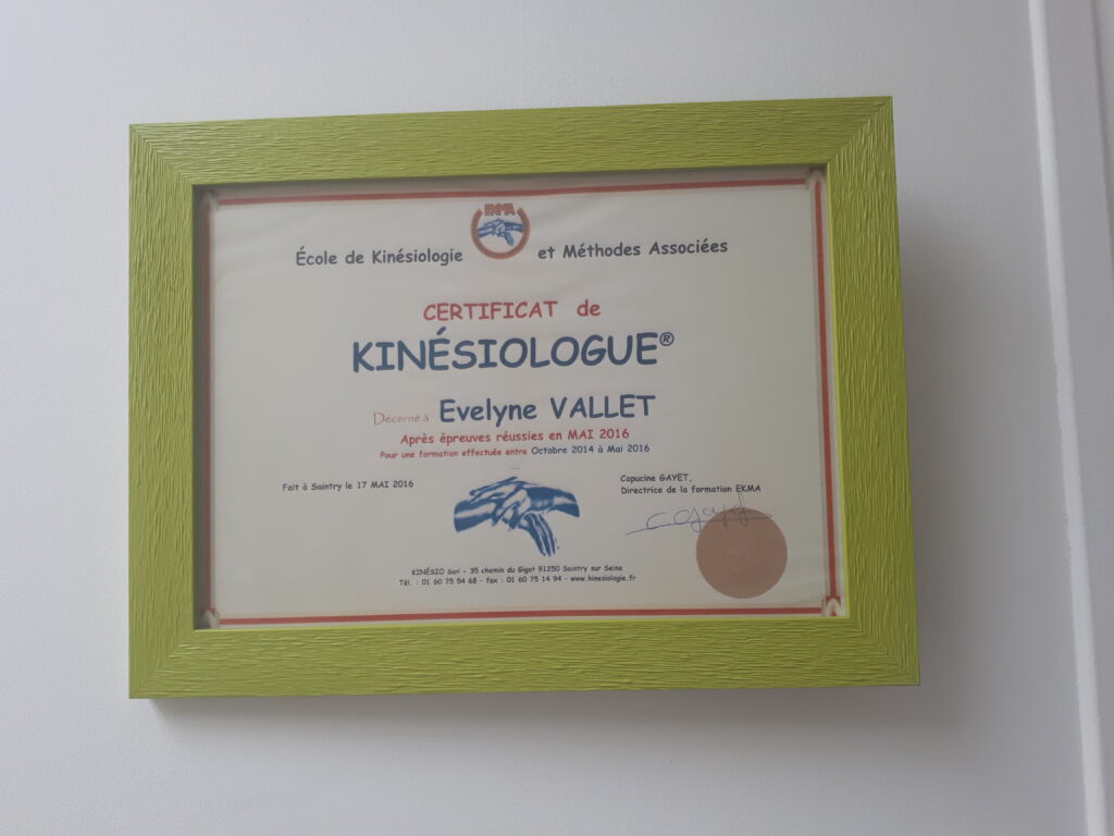votre kinésiologue dans les Yvelines